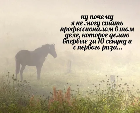 Профессионал с первого раза