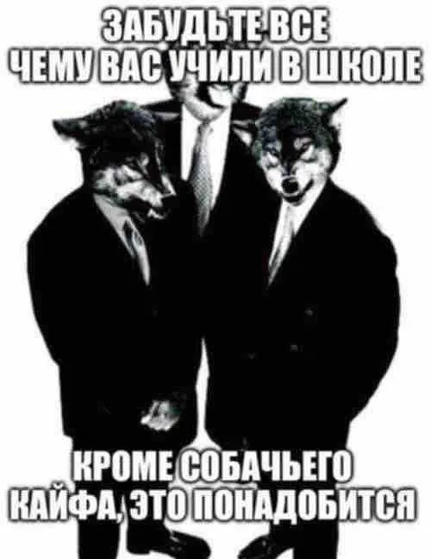 Забудьте всё, чему учили в школе