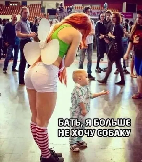 Больше не хочу собаку