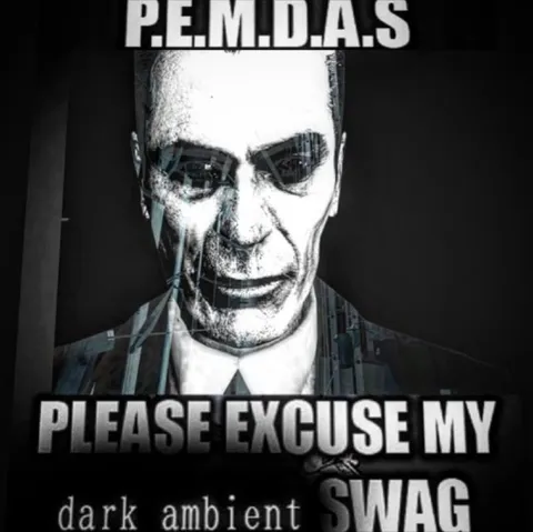 Please Excuse My Swag