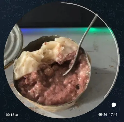 Картошка с мясом из банки