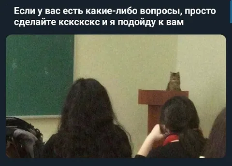 Сделайте кскскскс и я подойду