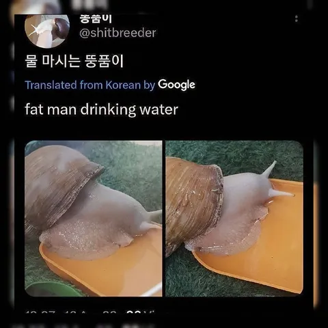 물을 마시는 뚱뚱한 달팽이