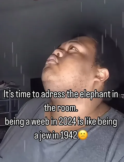 Being a Weeb in 2024