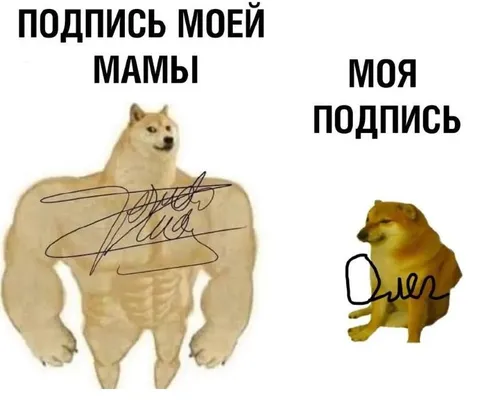 Подпись мамы и моя подпись