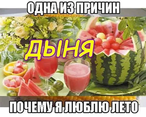 Почему я люблю лето