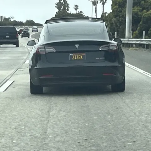 Žižek Tesla License Plate