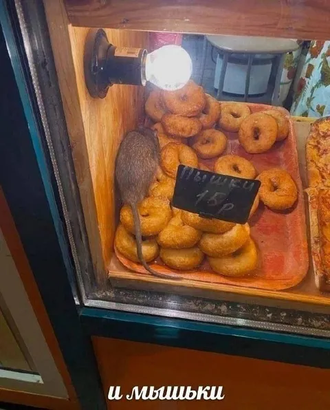 Мышьки среди пончиков