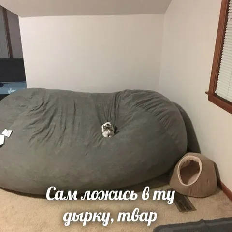 Сам ложись в ту дырку