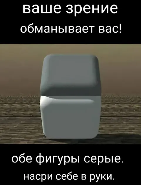 Ваше зрение обманывает вас