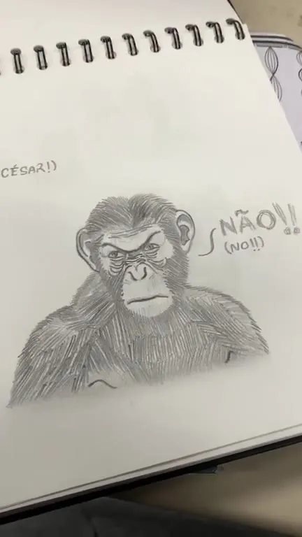 César, me dê!