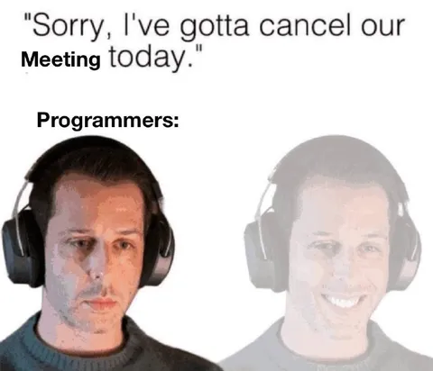 Programmer Cancels the Meeting