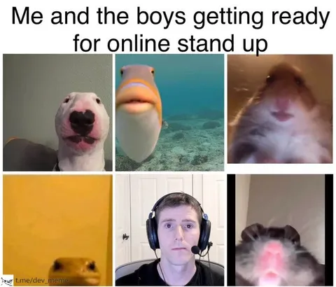 Boys Ready for Online Stand-Up
