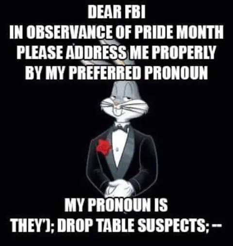 Bugs Bunny SQL Pronouns
