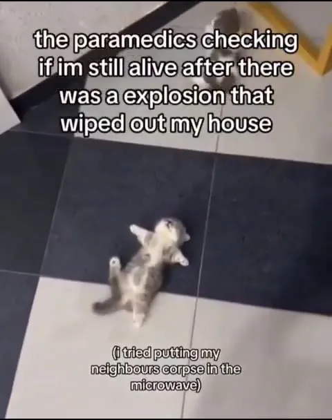 Cat Survives the House Explosion