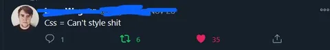 CSS Can't Style Shit