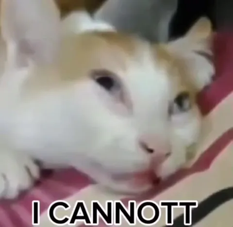 I Cannot Handle This Dance