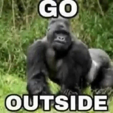 Go Outside, See Woman, Day Ruined