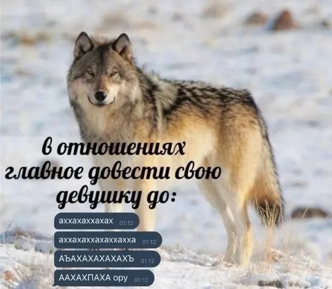 Довести девушку до смеха