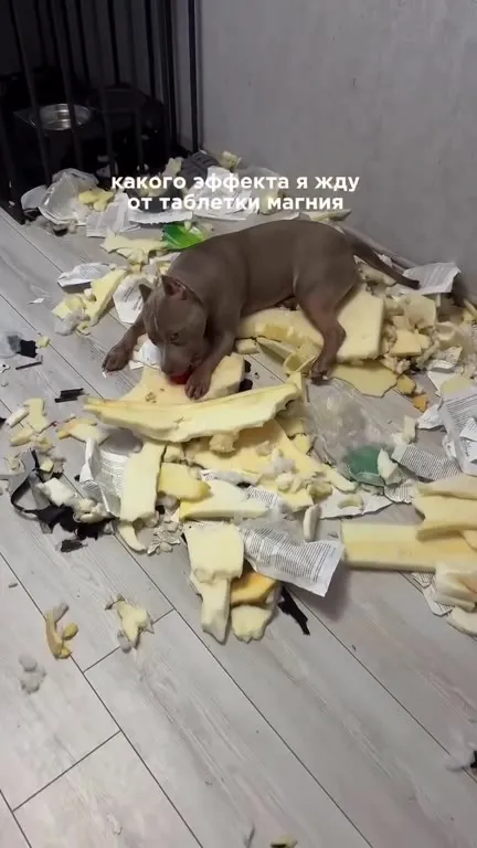 Какого эффекта я жду от магния
