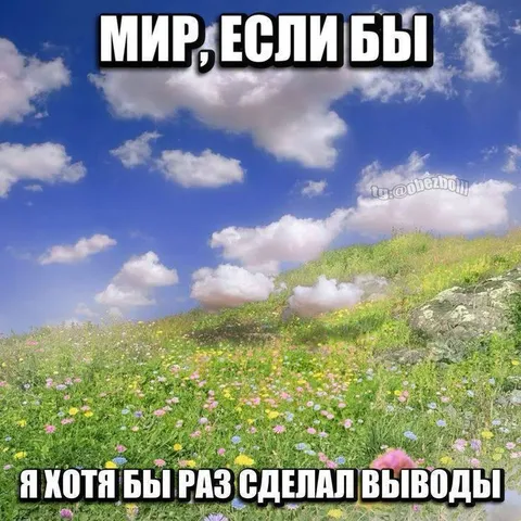 Мир, если бы я делал выводы