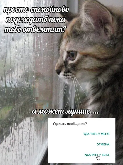 Подождать ответа или удалить сообщение