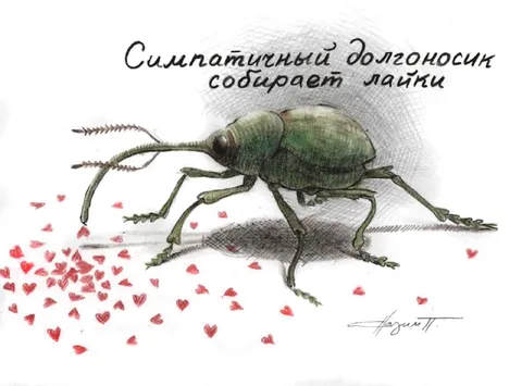 Долгоносик собирает лайки