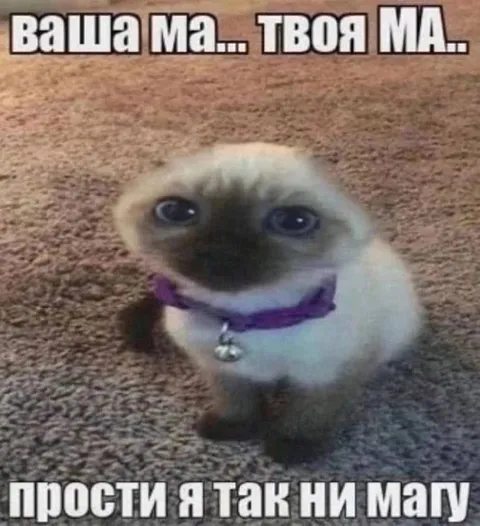 Прости, я так не могу