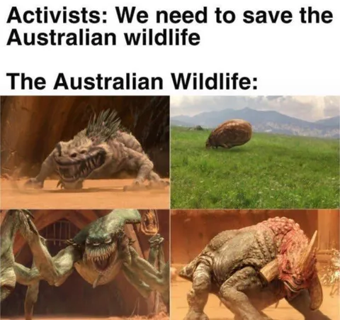 Australian Wildlife Is Terrifying