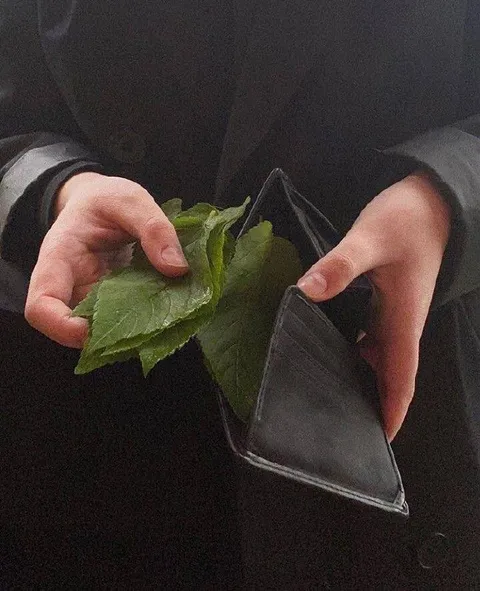Кошелёк, полный листьев