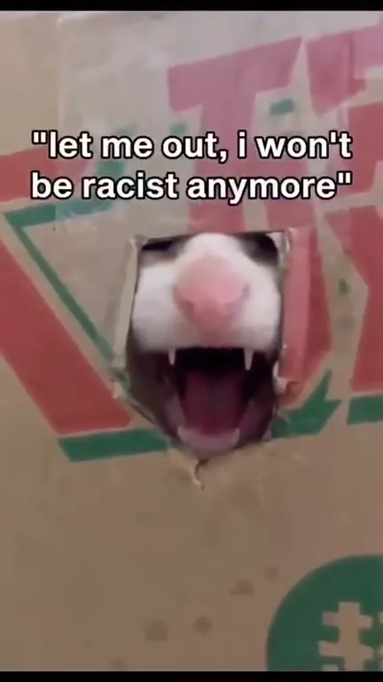 Cat Promises Not to Be Racist