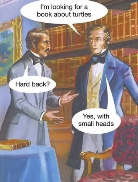 Turtle Book With Small Heads