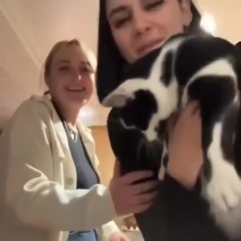 Кот мешает обниматься