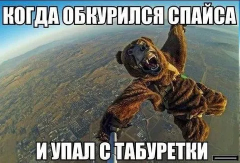 Тигр упал с табуретки