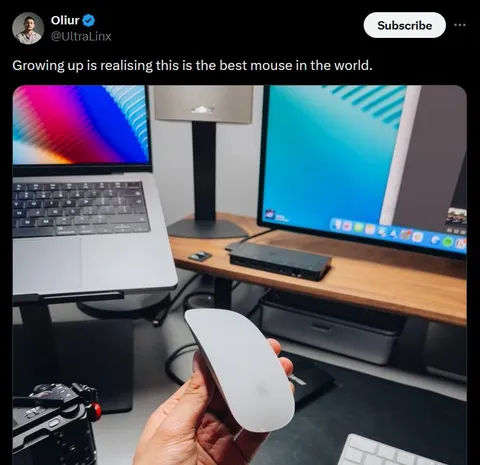 The Best Mouse in the World