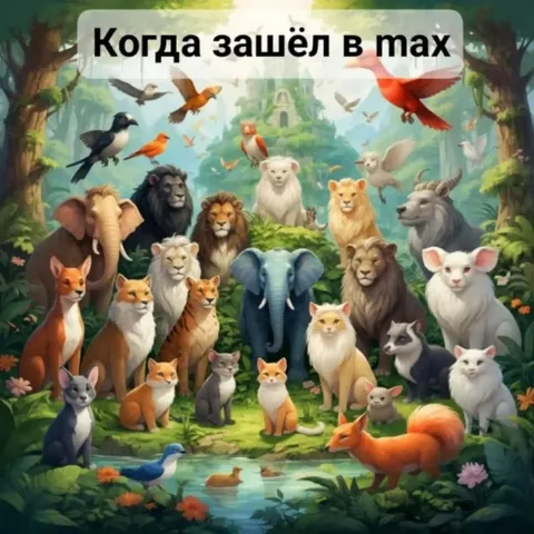 Когда зашёл в MAX