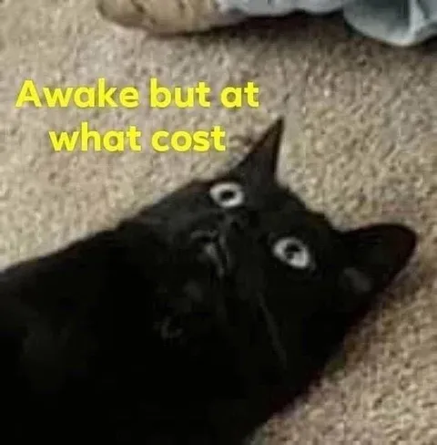 Awake But At What Cost