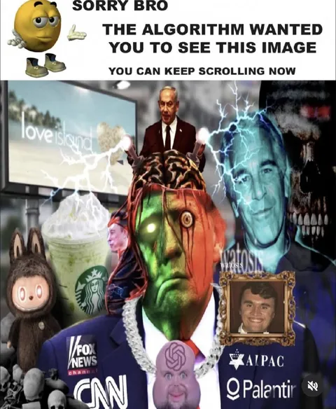 Algorithm Wants You to See This