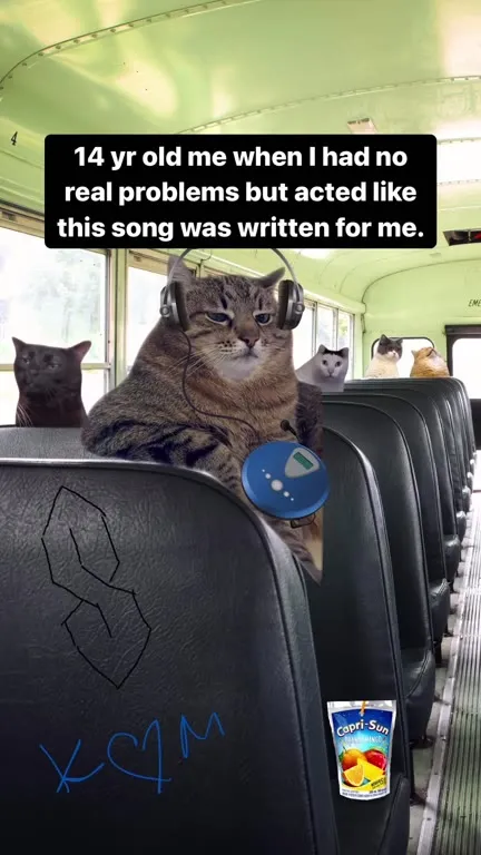 Кот-подросток драматизирует под Blink-182