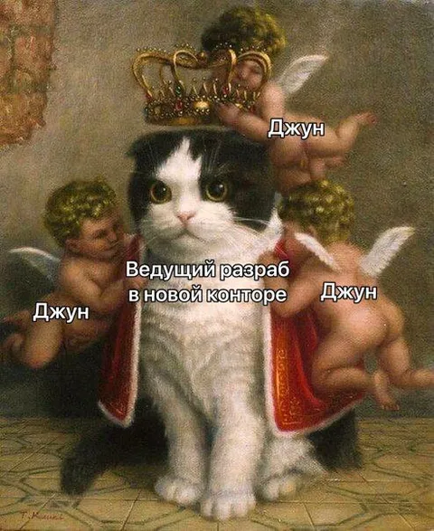 Ведущий разраб среди джунов