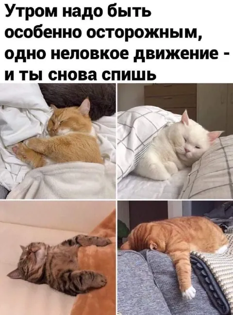 Утром нужно быть осторожным