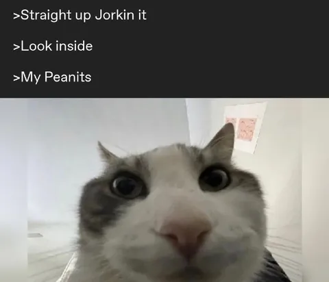 Straight Up Jorkin It Cat