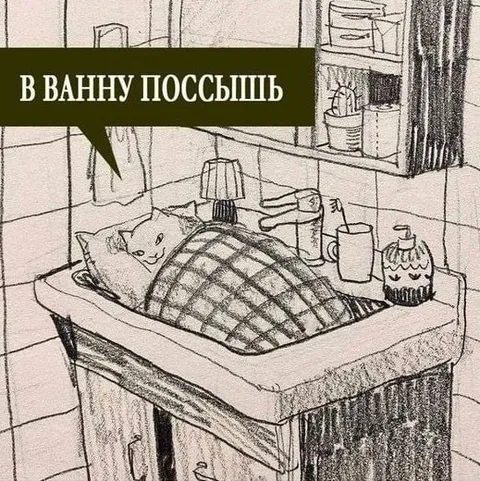 Кот спит в ванной