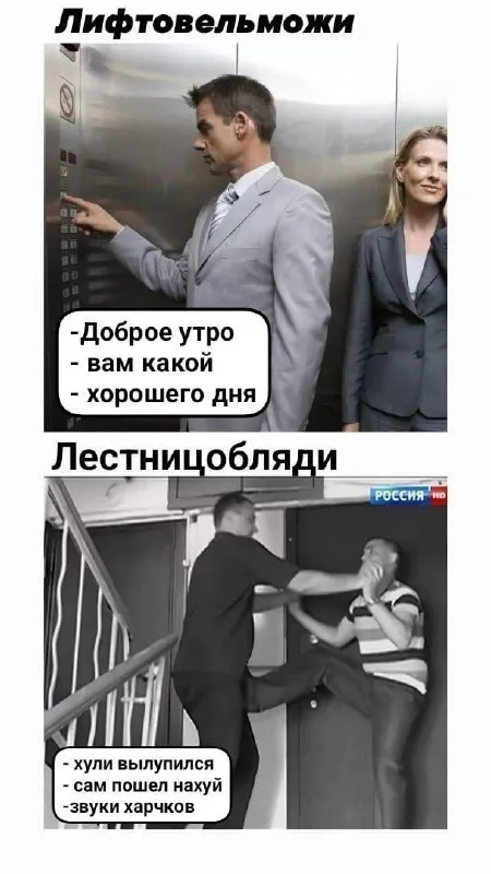 Лифтовельможки и лестницобляди