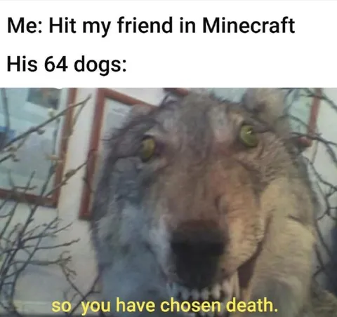 Minecraft Hit My Friend