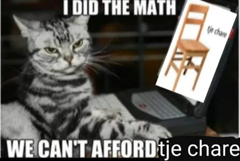 I Did the Math Cat