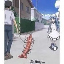 Shrimp on the Sidewalk
