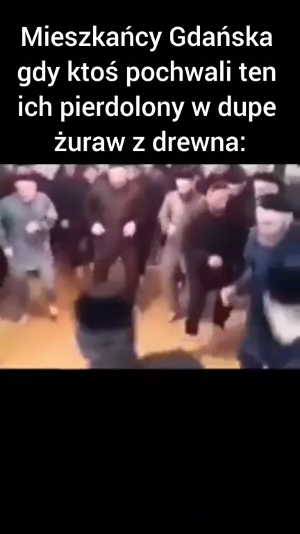 Mieszkańcy Gdańska reagują na żurawia