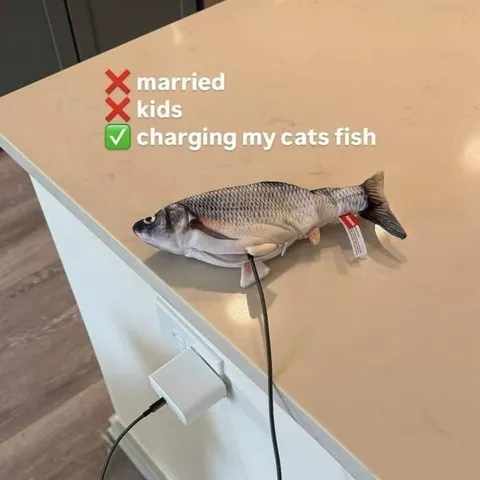Charging My Catfish