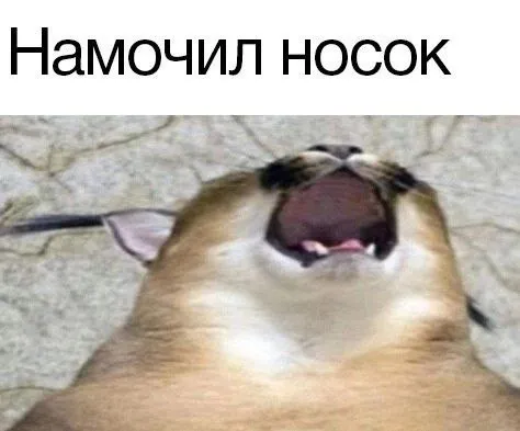 Намочил носок
